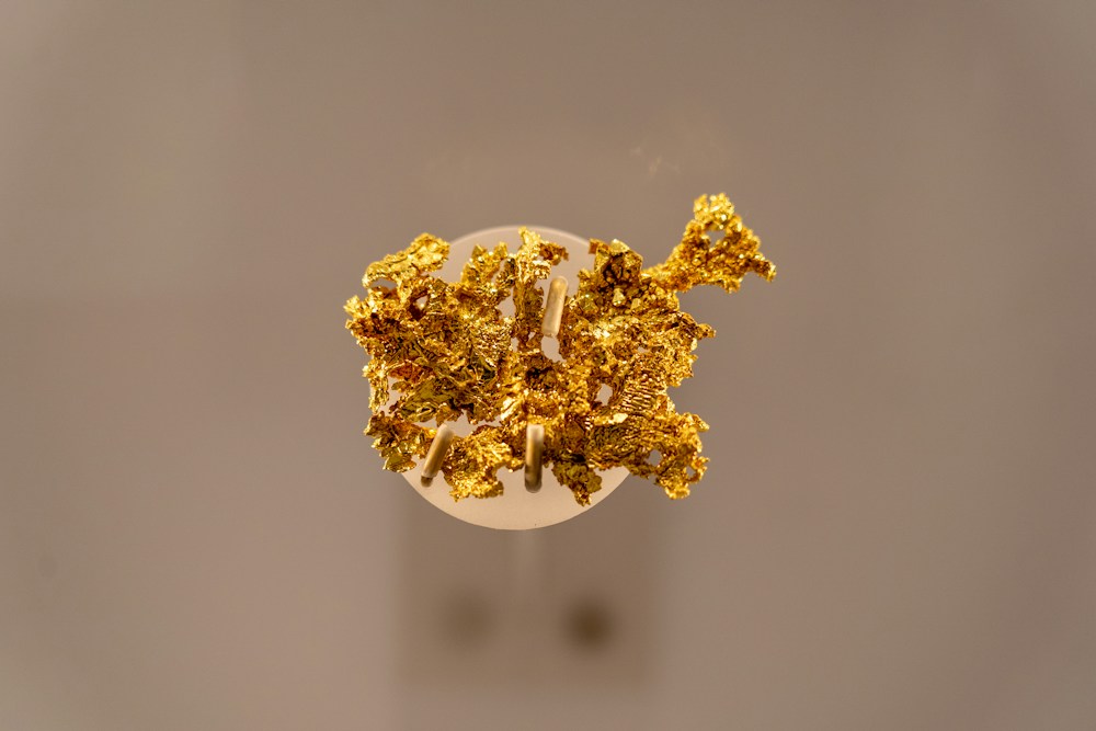 Muestra de oro, imagen de referencia